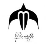 Minvielle Surfboards